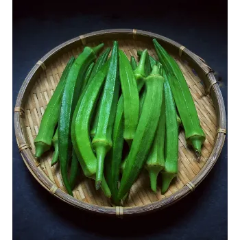 Lady Finger (4)-8609633-13817.webp